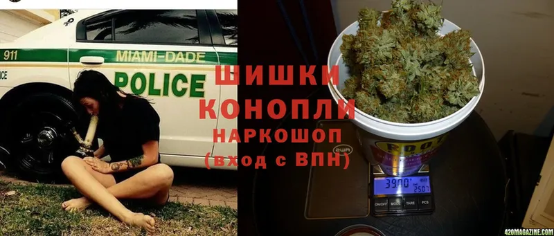 Канабис SATIVA & INDICA  Кириллов 